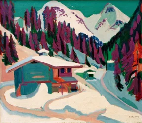 Wild Ground in the Snow